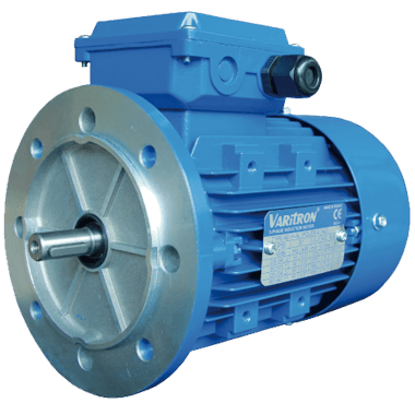 AEVH-ALB5-Induction-Electric-Motor